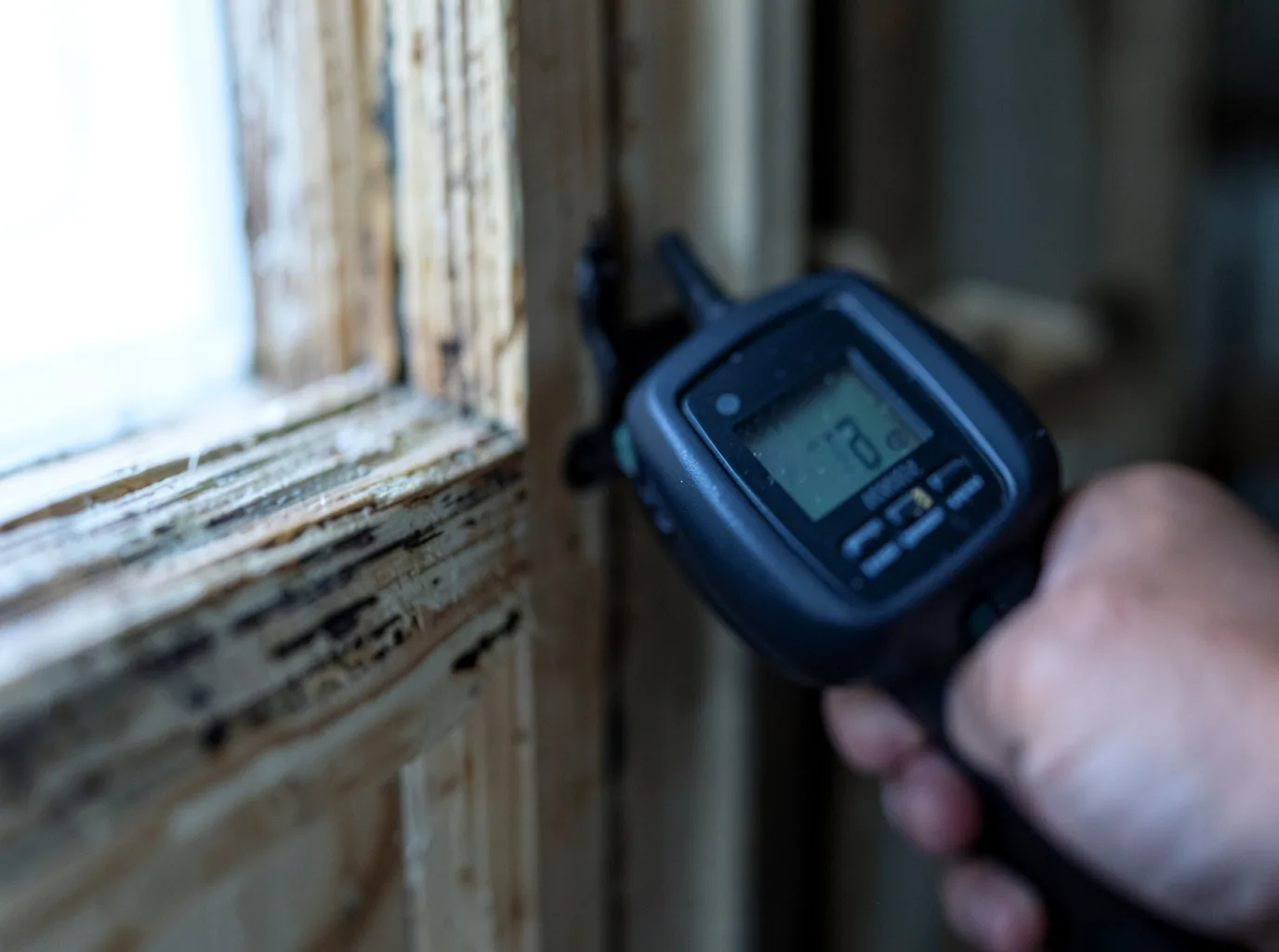 Moisture Inspection And Documentation in Nye, MT